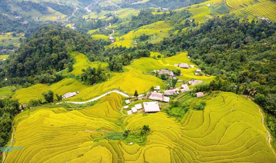 清水乡萨坪地区的梯田景观。图自越通社