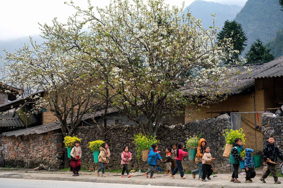 当地人文风貌与自然景观的融合也是吸引游客的亮点。图自越通社