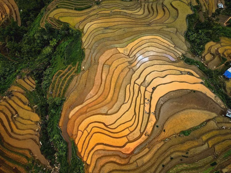 位于山顶的梯田是当地人世代辛勤劳作的结晶。图中：木江界乡灌水季中的梯田。图自越通社