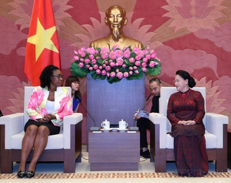 越南国会主席阮氏金银会见正在对越南进行工作访问的莫桑比克总检察长碧翠丝·布奇莉女士（河内，2017年8月21日）。图自越通社