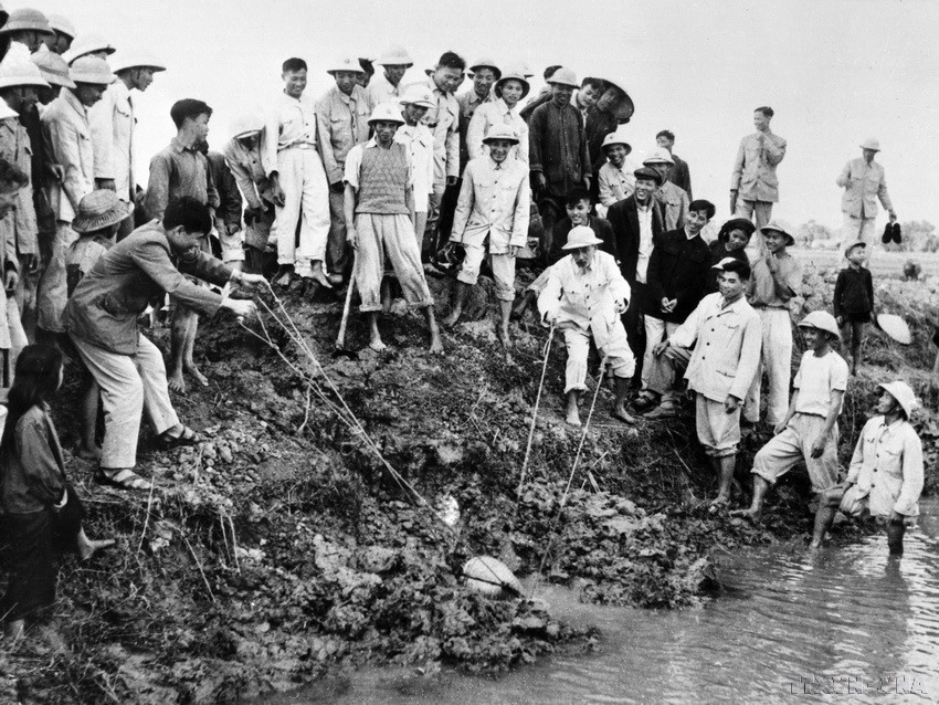 1958年1月12日,胡主席与河东省(今河内)大青乡农民共同抗旱。图自越通社