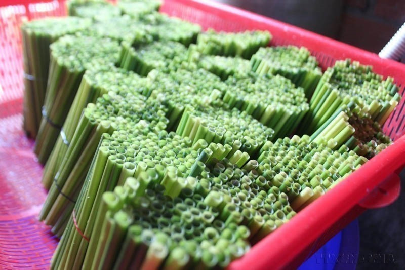 在胡志明市,众多餐饮经营单位已采用环保型草制吸管替代塑料吸管。图自越通社