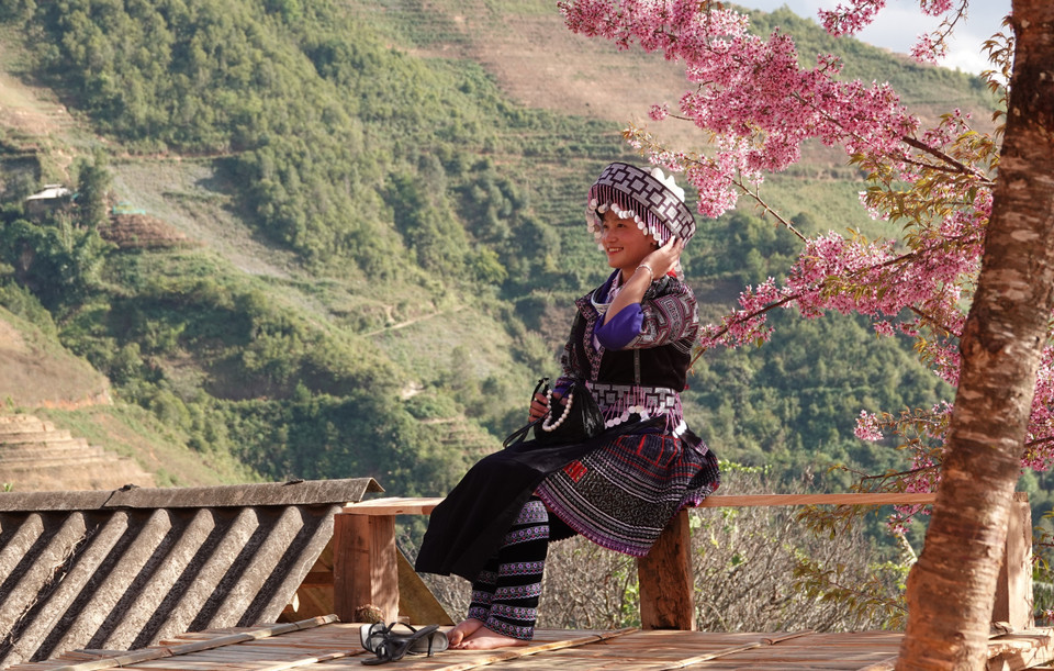 木江界将于2026年1月3日晚揭幕2026年苗族芦笙节暨冬樱花节，并举办多项特色活动。图自越通社