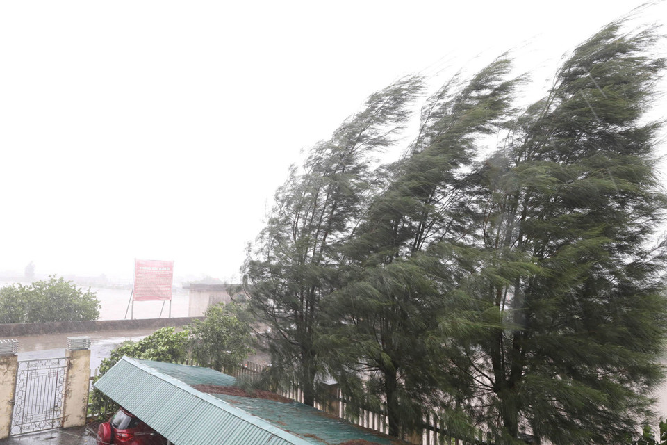 宁平省金东乡沿海地区遭遇强风暴雨。图自越通社
