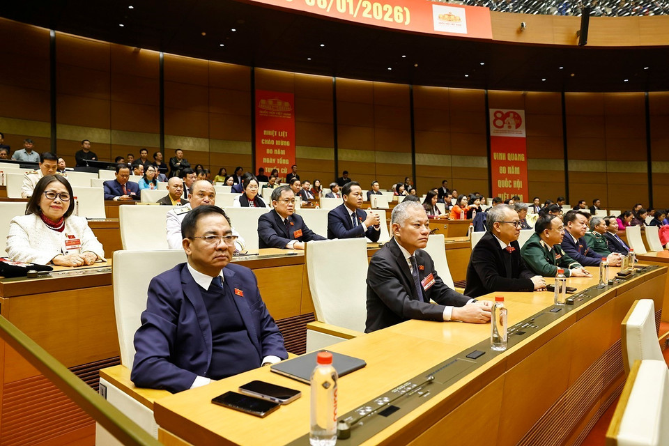 参加纪念典礼的各位代表。图自越通社