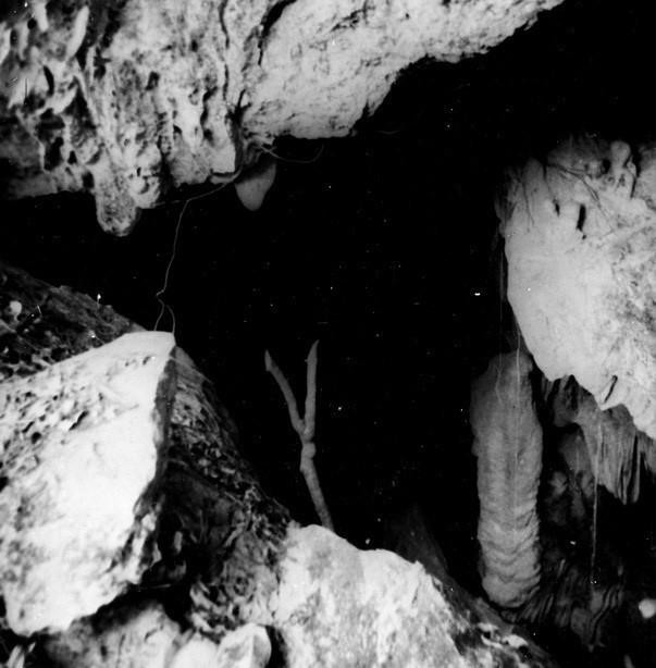 胡志明主席选择了高平这片具有重要地缘政治、国防安全地位且富有爱国传统的地方作为第一个革命根据地。图为：1941年2月8日，阮爱国同志回国后最初居住和工作的谷坡洞。图自越通社