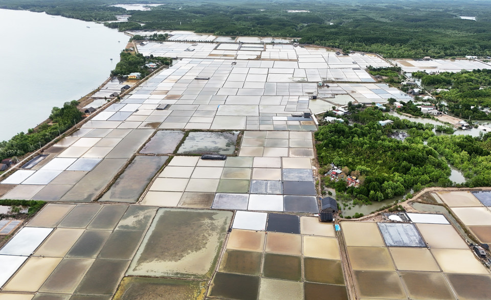 诚灵岛村的盐田颇受游客的青睐。图自越通社