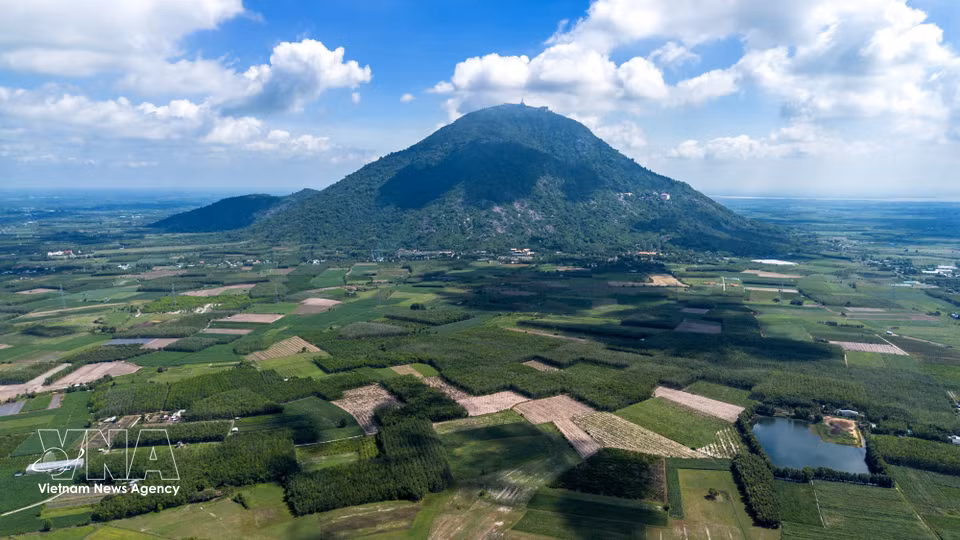 婆丁山记录有6个黑腿白臀叶猴群，共计118只珍稀个体，稳定生活于山区的自然森林区域。图自越通社