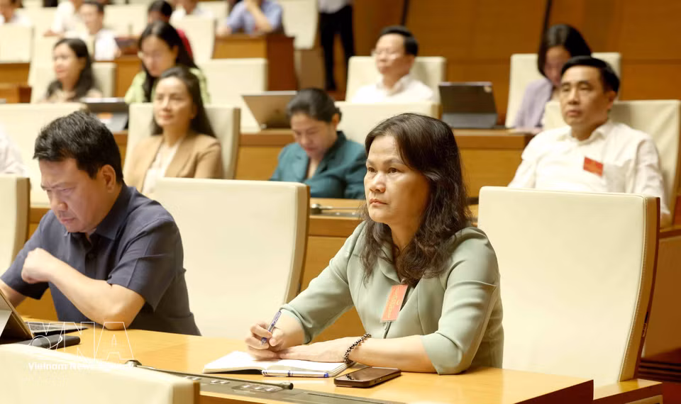 与会代表出席会议。图自越通社