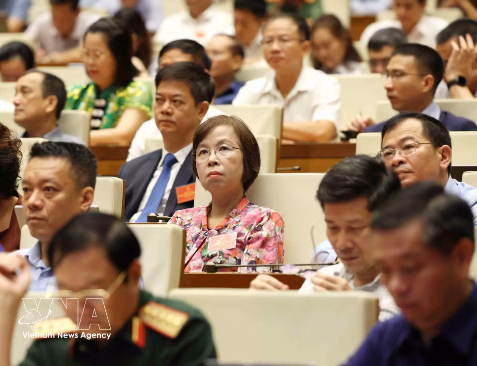 与会代表出席会议。图自越通社