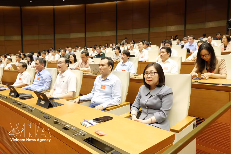 与会代表出席会议。图自越通社