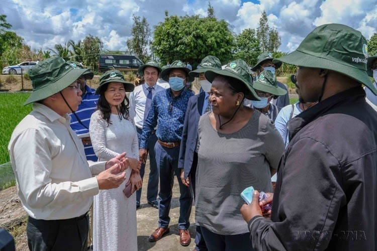莫桑比克国会主席在访问芹苴市期间，参观位于泰莱县的九龙江三角洲稻米研究院试验田（2022年6月23日）。图自越通社