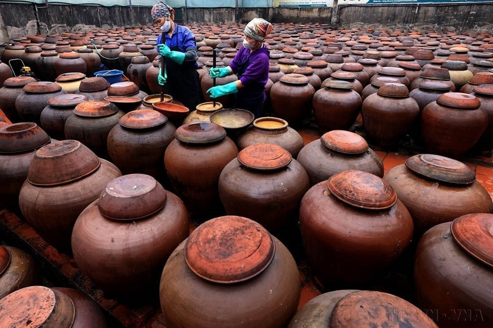 兴安省美豪县安仁乡贫村的居民传承、保护并弘扬酿黄豆大酱传统手工艺业。图自越通社