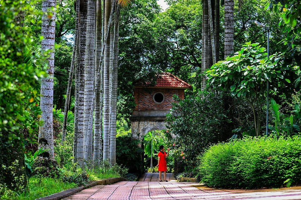 富寿省良山乡芒该（Mường Cời）村的丁公家族生活空间，至今仍保留着许多古朴特色。图自越通社