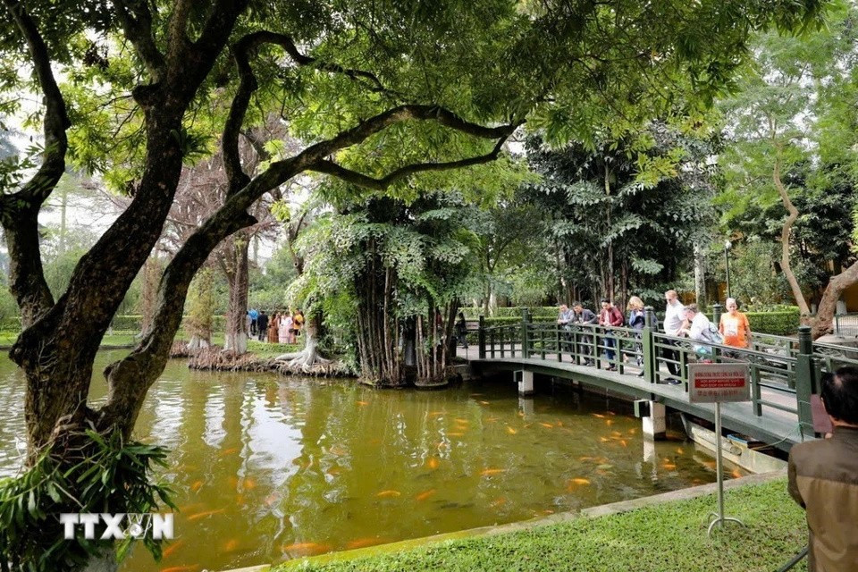 每年，遗迹区都接待众多国内外游客前来参观、学习、研究胡伯伯生活和工作的地方。 图自越通社