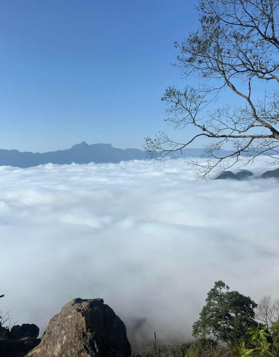 山罗省木州高原巴帕山顶的云海。图自越通社