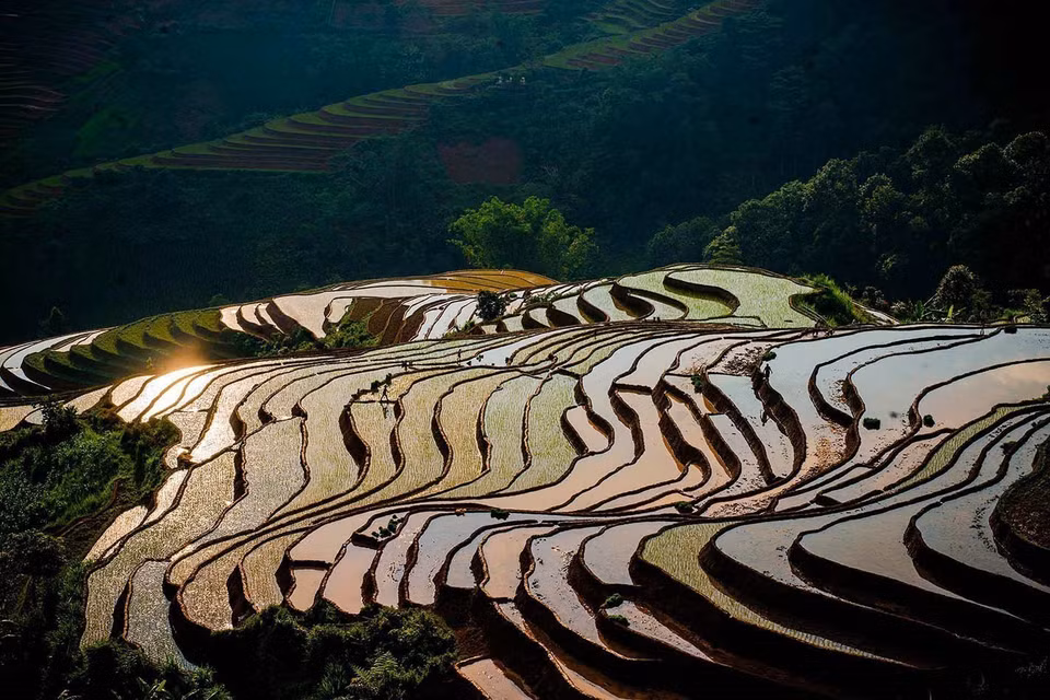 老街省木江界乡灌水季中的梯田美景。图自越通社