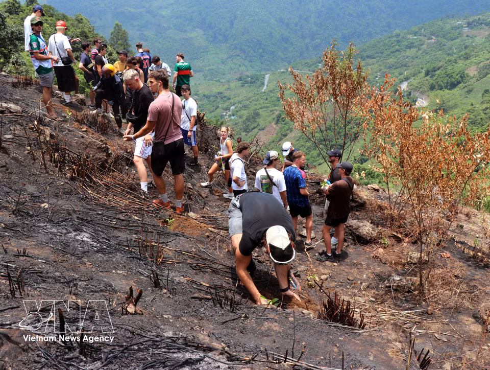 外国游客在探索同文岩石高原的旅程中兴奋地亲手种植绿树。图自越通社