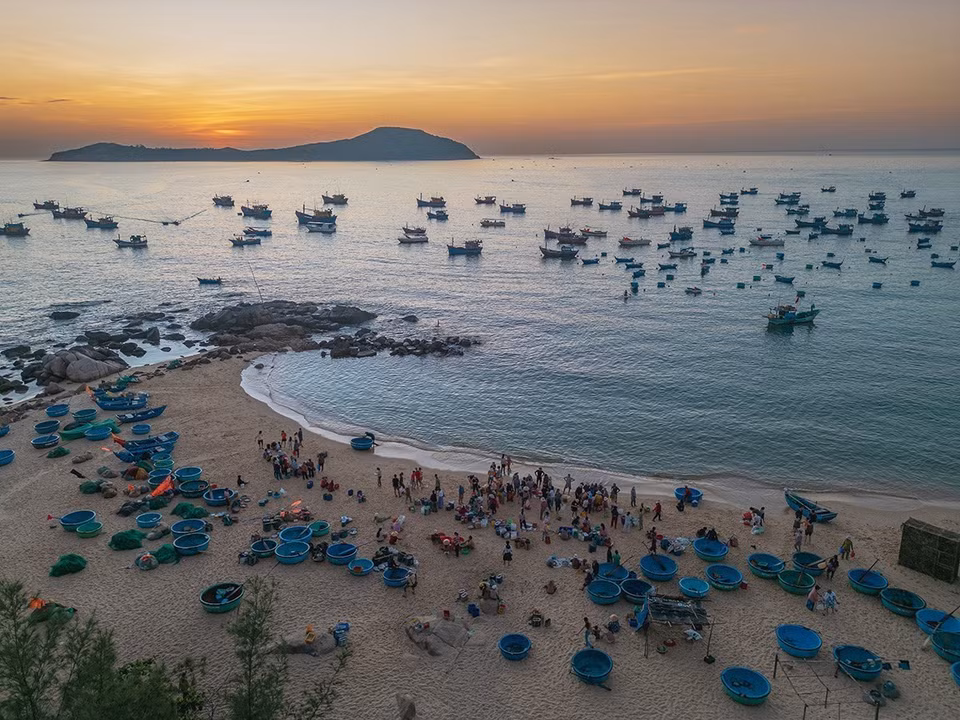 海边的清晨景象，是渔民与购鱼者每日相遇的地方。图自越通社