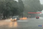 第3号台风登 越南北部与北中部地区持续出现强降雨