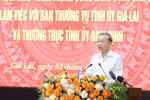 越共中央总书记苏林：合并后的嘉莱省不仅规模更大，更要增强竞争力