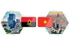越南－安哥拉传统友好关系