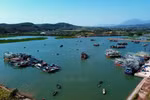 解除IUU“黄牌”警告：广宁省正集中力量实施突破性解决方案