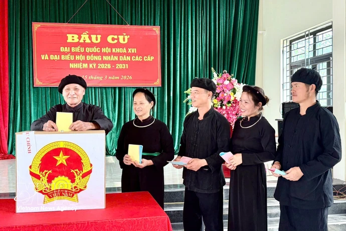 北江省安乐乡那奥村（Nà Ó）岱族同胞兴高采烈地参加投票。图自越通社