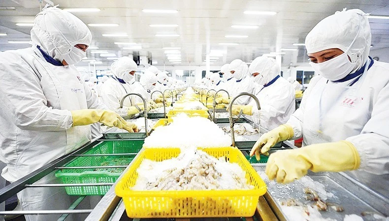 多家水产生产企业开始应用区块链技术来证明产品的原产地及其环保生产流程。图自人民报