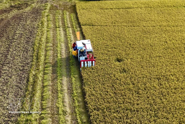 安江省进行出口模式转型。图自越通社 