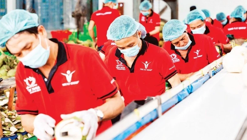 附图。图自越通社