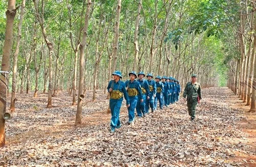 15兵团建设强大、广泛的自卫力量是基层全民国防阵势建设的核心力量（图片来源：人民军队报）