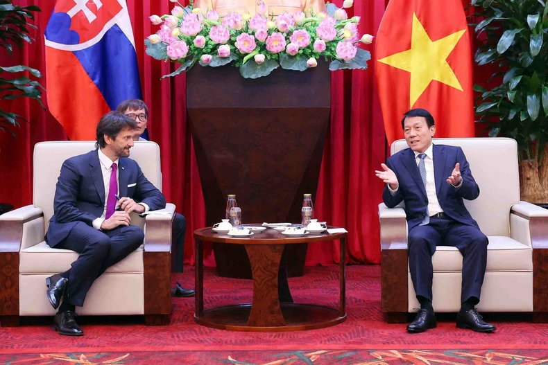 越共中央政治局委员、公安部长梁三光上将会见斯洛伐克副总理兼国防部长罗贝尔特·卡利尼亚克。图自越通社