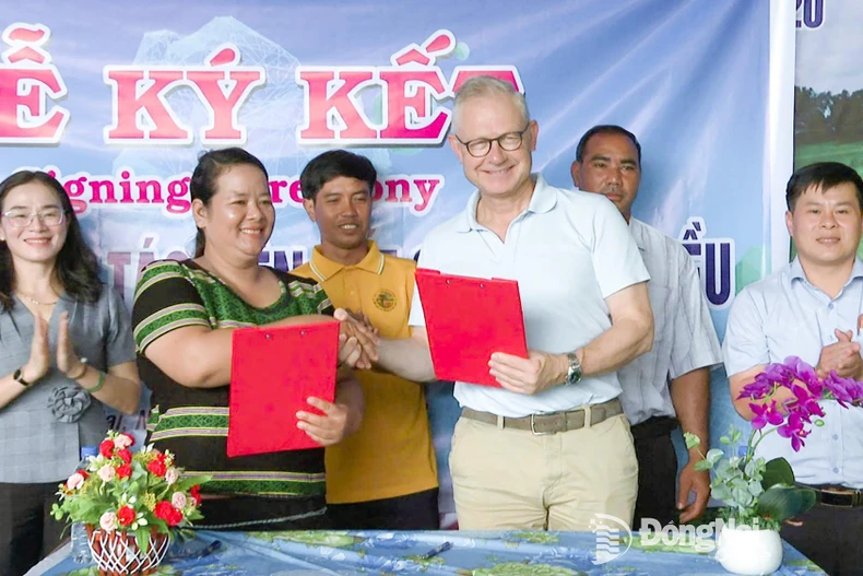 布沥（Bù Lạch）草地有机腰果农业合作社社长氏快与越南英特斯纳克腰果有限公司代表签署腰果收购合作协议。图自同奈报。