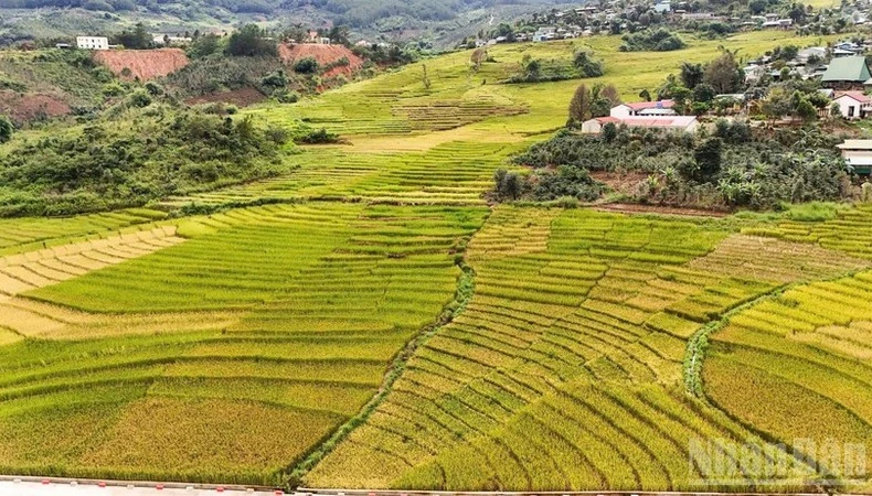 新广义省地域辽阔，从高山、边境到海岛，山海相连，风光壮丽，为将旅游业打造成为新阶段经济增长的重要动力奠定了坚实基础。图自人民报