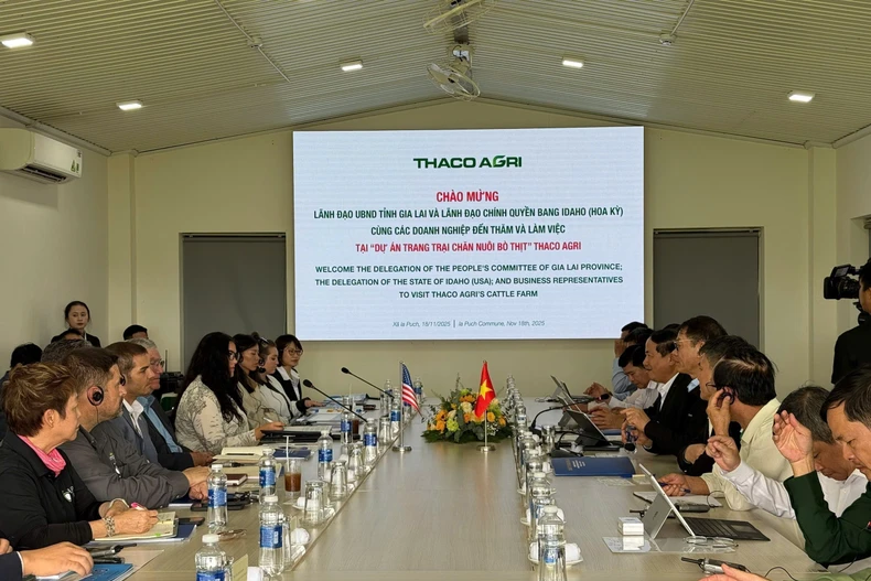 双方举行会晤。图自越通社