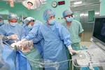 顺化中央医院一天内同时完成4台心、肝、角膜移植手术。图自越通社