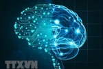 越南力争到2030年跻身东南亚人工智能研发前三强。图自越通社