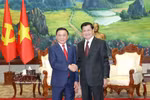 越共中央书记处常务书记陈锦秀会见老挝人民革命党中央总书记、国家主席通伦·西苏里。图自越通社