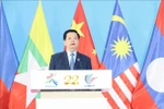 越南政府副总理梅文政发言。图自越通社