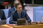 越南常驻联合国代表团团长杜雄越大使。图自越通社