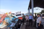 胡志明市人民委员会副主席黄元察看了渔船靠港卸货、渔业产品溯源申报等情况。图自越通社