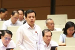 胡志明市国会代表陈英俊。图自越通社