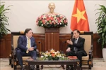 越南外交部代理部长黎怀忠会见美国驻越南大使马克·纳珀。图自越通社