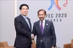 越南国家主席梁强会见文莱达鲁萨兰国苏丹哈吉·哈桑纳尔·博尔基亚。图自越通社