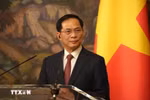 越南政府副总理裴青山发言。图自越通社
