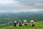 山罗省全力推进旅游业数字化转型。图自互联网