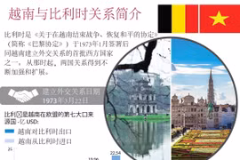 图表新闻：越南与比利时关系简介 