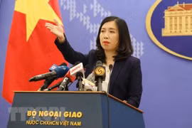  越南要求中国为维护东海和平稳定采取负责任的行动