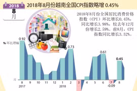 图表新闻：2018年8月份越南全国CPI指数略增 0.45% 